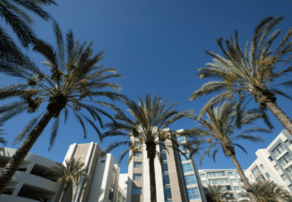 Anaheim Handyman Services