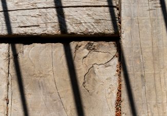 How to Spot Termite Damage Early & When Choose Wood Replacement