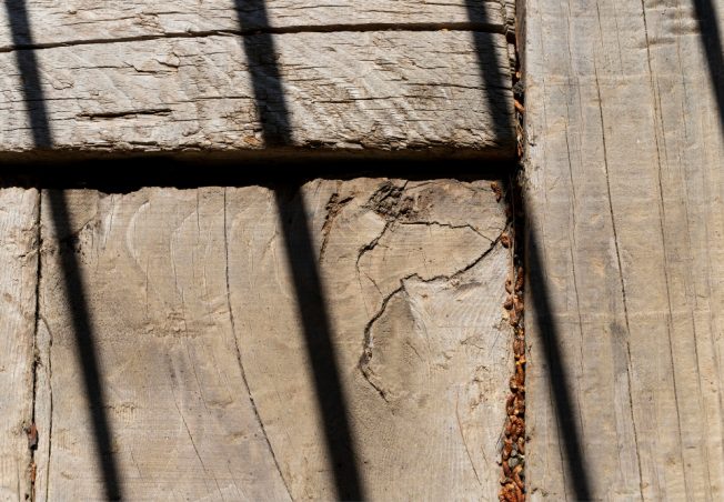 How to Spot Termite Damage Early & When Choose Wood Replacement